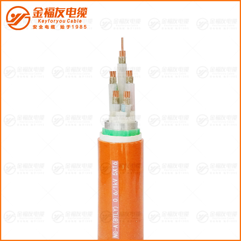 NG-A (BTLY) 0. 61kV 5X16