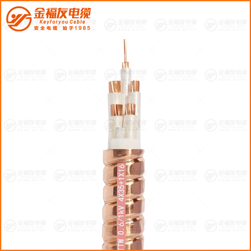 YTTW 0. 61kV 4X35+1X16