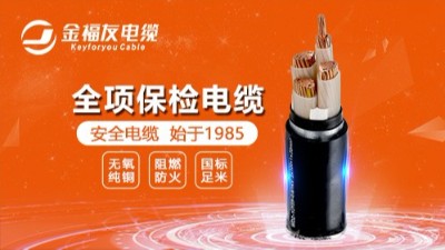 金福友电缆丨榜样的力量，月度优秀进步标兵与团队表彰！
