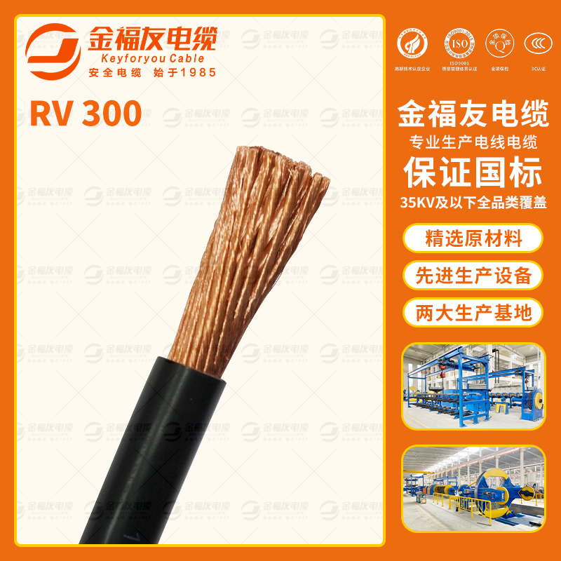 金福友产品-8.20-RV-300