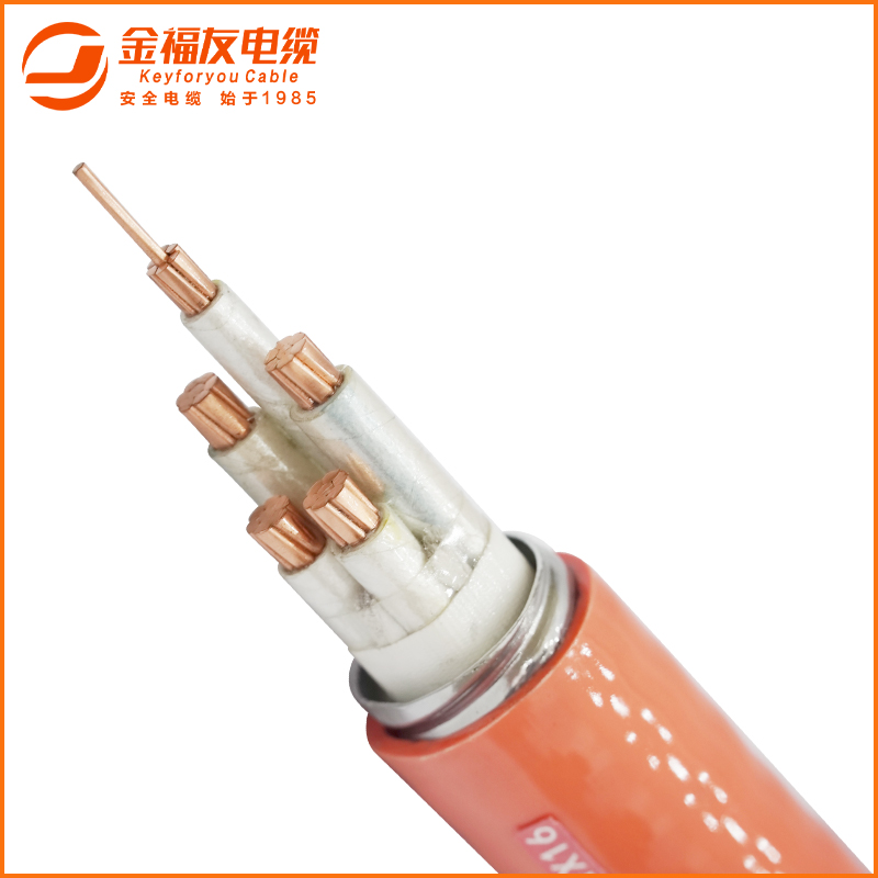 金福友官网主图-BTLY-3