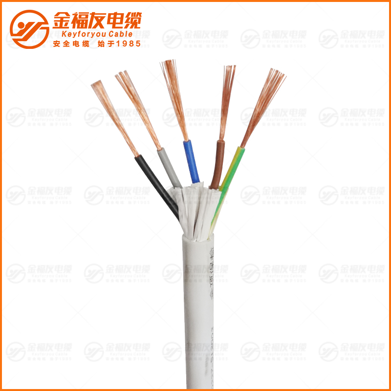 RVV白护套 5X1.5