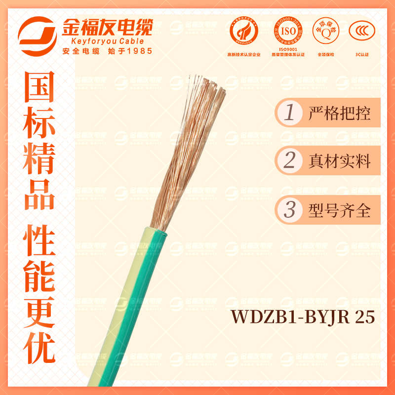 金福友产品-10.9-WDZB1-BYJR-25