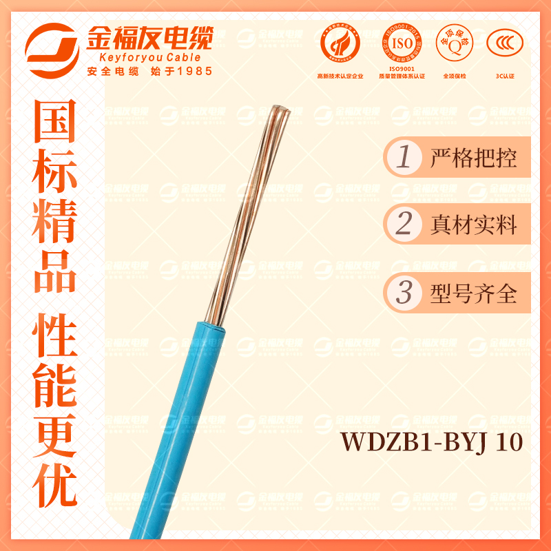 金福友产品-10.9-WDZB1-BYJ-10